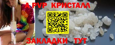 спиды Кингисепп