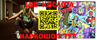 спиды Кингисепп