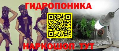 спиды Кингисепп