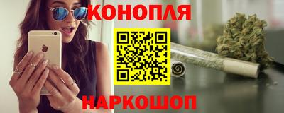 спиды Кингисепп