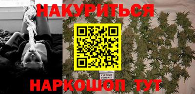 спиды Кингисепп