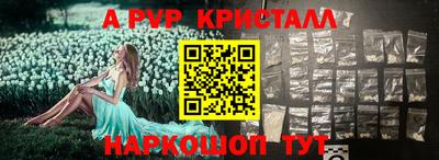 спиды Кингисепп
