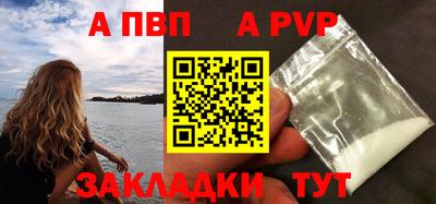 спиды Кингисепп
